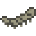Dragon Tail Fossil