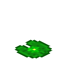 绿色荧光睡莲 (Green Glowtus)