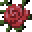 荆棘玫瑰 (Thorn Rose)