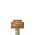 粉色蘑菇