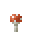 斑点蘑菇