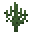 牙签型仙人掌 (Toothpick Cactus)