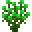绿色杜鹃花 (Green Azalea)