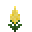 黄色鸡冠花