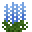 蓝色飞燕草 (Blue Delphinium)