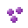 紫珠