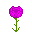 玛瑙荧光玫瑰 (Agate Glow Rose)