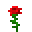 红玫瑰 (Red Rose)