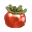 西红柿 (Tomato)