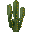 Cactus(Flower Pot Inner)