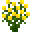 Yellow Azalea