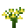 Yellow Bellflower