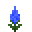 Blue Celosia