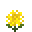 Yellow Hydrangea