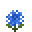 Blue Hydrangea (Blue Hydrangea)