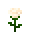 White Rose (White Rose)