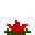Red Water Lily (Red Water Lily)