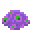 Purple Brain Coral