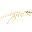 Ceratosaurus新鲜骨架
