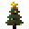 Christmas Tree Sapling