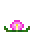 Lotus (Lotus)