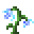 蓝色奇幻草 (Blue Magic Flower)