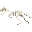 食肉牛龙新鲜骨架 (Carnotaurus Fresh Skeleton)