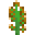 藜植物