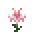 粉红色水仙花 (Pink Daffodil)