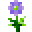 Green Hill Flower