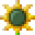 Green Hill Sunflower