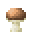 Sweetshroom