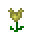 黄色合金花