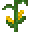玉米丛 (Corn bush)