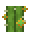 灵气仙人掌 (Aura Cactus)