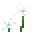 Tall White Flowers