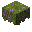 盛开的杜鹃花丛 (Flowering Azalea)