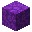紫色气球菇子实体 (Purple Balloon Mushroom Sporocarp)