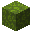 绿色气球菇子实体 (Green Balloon Mushroom Sporocarp)