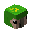 Green Parrot Head
