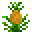 凤梨作物 (Pineapple Crop 1)