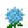 蓝绣球花