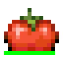 番茄 (Tomato)
