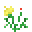 Yellow Flabebe Flower