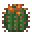 Fishhook Barrel Cactus Flowering