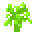 开普勒-22b绿色枫树树苗