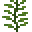绿柄藻 (Green Stemmed Algae)