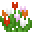 Tulip Bundle