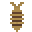 Bloatfly Larva