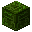 Green Stone Brick Frog Hieroglyph